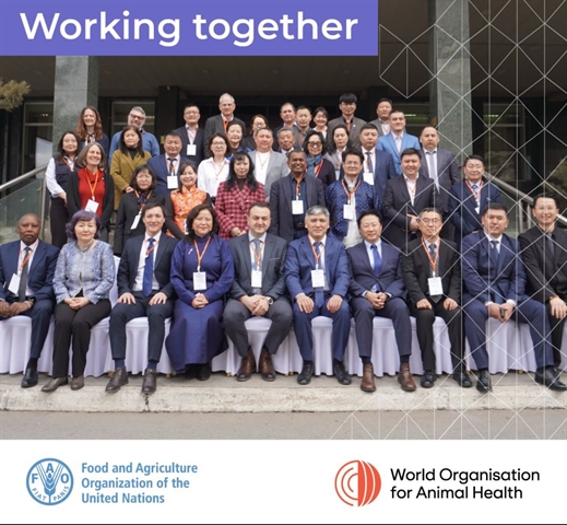 Participants at the China, Mongolia, and Central Asia Episystem workshop for PPR eradication, 1-3 April 2025, held in Ulaanbaatar, Mongolia. Participants at the China, Mongolia, and Central Asia Episystem workshop for PPR eradication, 1-3 April 2025, held in Ulaanbaatar, Mongolia.