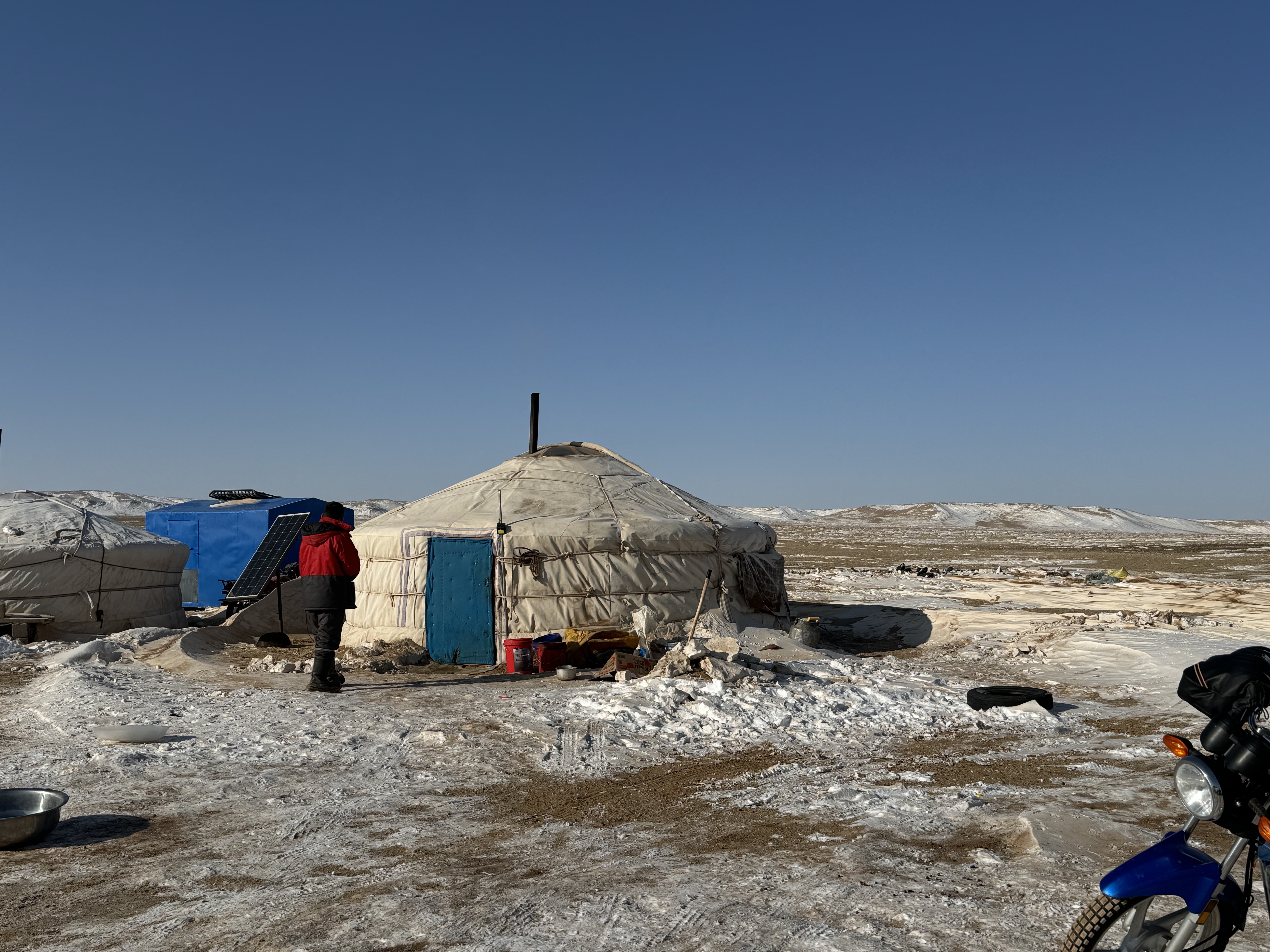Dzud Crisis Situation Update- March 2024 > WCS Mongolia